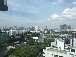urbana photo thumbnail #11